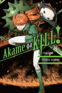 Akame ga KILL!, Vol. 8 - 2862614824