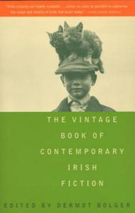 The Vintage Book of Contemporary Irish Fiction - 2873993075