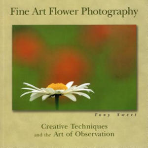 Fine Art Flower Photography - 2877771292