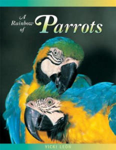 Rainbow of Parrots - 2878799086