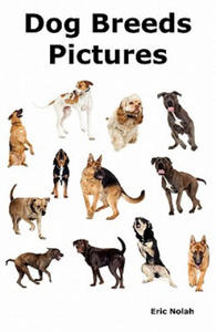 Dog Breeds Pictures - 2867109646