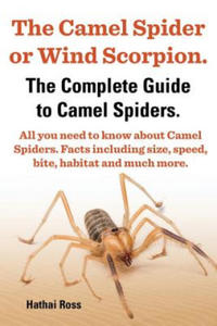 Camel Spider or Wind Scorpion, The Complete Guide to Camel Spiders. - 2861918445