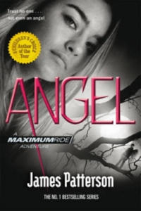 Angel: A Maximum Ride Novel - 2878780157