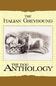 The Italian Greyhound - 2861951778