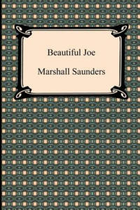 Beautiful Joe - 2867135590