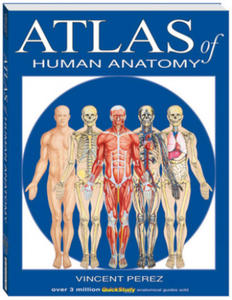 Atlas of Human Anatomy - 2878310036