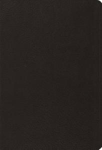 Psalms, ESV (Black) - 2878879240