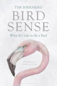 Bird Sense - 2874786209