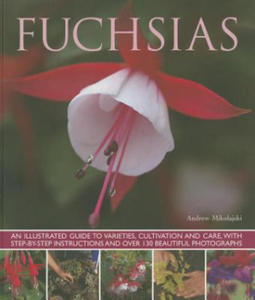 Fuchsias - 2877763078