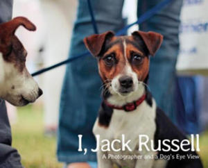 I Jack Russell - 2873995737