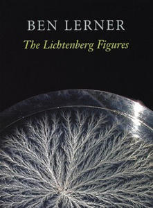 Lichtenberg Figures - 2877314984