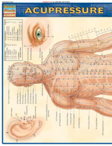 Acupressure Laminate Reference Chart - 2873995542