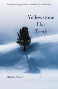 Yellowstone Has Teeth - 2878169570