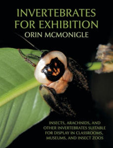 Invertebrates For Exhibition - 2876462871