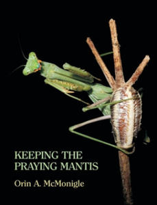 Keeping the Praying Mantis - 2866865687
