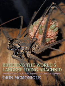 Breeding the World's Largest Living Arachnid - 2867104026