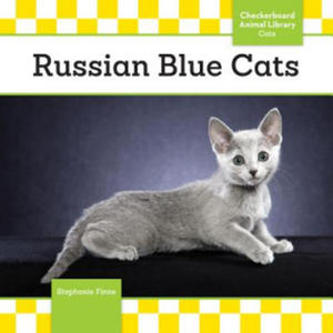 Russian Blue Cats - 2877630350