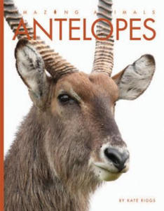 Antelopes - 2875673365