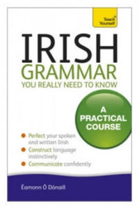 Irish Grammar You Really Need to Know: Teach Yourself - 2878874559