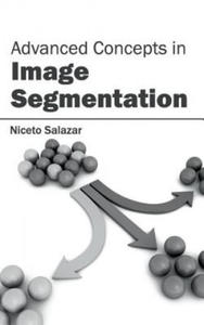 Advanced Concepts in Image Segmentation - 2874802407