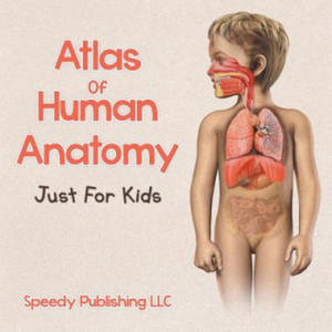 Atlas Of Human Anatomy Just For Kids - 2862171350