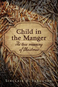 Child in the Manger: The True Meaning of Christmas - 2878081910