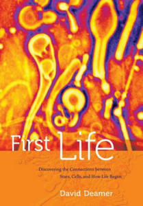 First Life - 2867126546