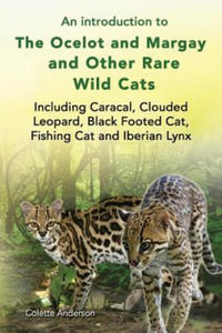 introduction to The Ocelot and Margay and Other Rare Wild Cats Including Caracal, Clouded Leopard, Black Footed Cat, Fishing Cat and Iberian Lynx - 2866521183