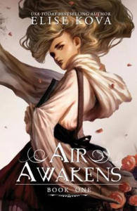 Air Awakens