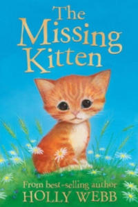 Missing Kitten - 2873165853