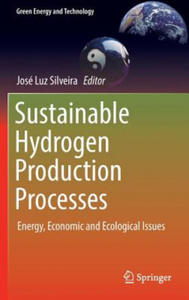 Sustainable Hydrogen Production Processes - 2873173541