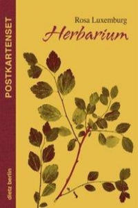 Herbarium Postkartenset - 2878070301