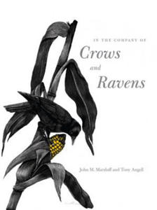 In the Company of Crows and Ravens - 2872203531