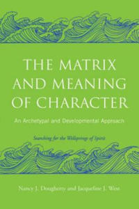 Matrix and Meaning of Character - 2878068971