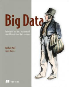 Big Data:Principles and best practices of scalable realtime data systems - 2877402432