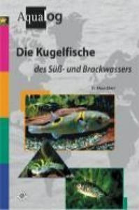 Die Kugelfische des S- und Brackwassers - 2877862902