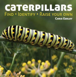 Caterpillars - 2876121307