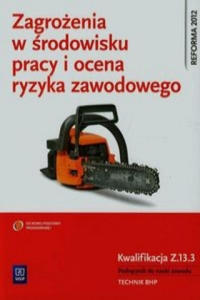 Zagrozenia w srodowisku pracy i ocena ryzyka zawodowego Podrecznik do nauki zawodu Kwalifikacja Z.13.3 - 2878192009