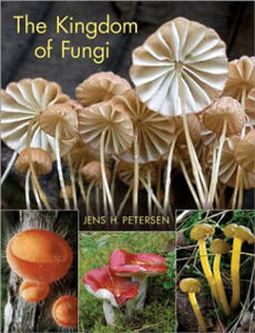 Kingdom of Fungi - 2826751901