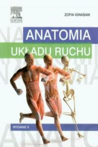 Anatomia ukladu ruchu - 2877402378