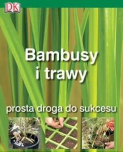 Bambusy i trawy - 2861899144