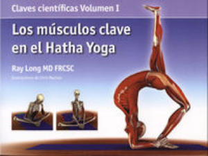 Los msculos clave en el hatha yoga - 2873897552