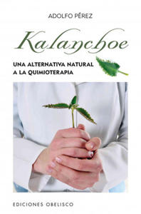 Kalanchoe - 2863982985