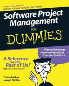 Software Project Management For Dummies - 2867142930