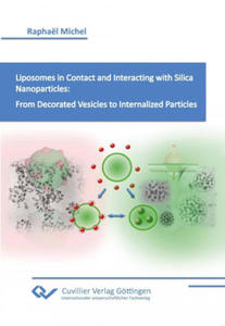 Liposomes in Contact and Interacting with Silica Nanoparticles: From Decorated Vesicles to Internalized Particles. - 2877626063