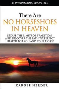 There Are No Horseshoes in Heaven - 2861940393