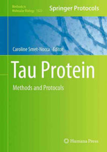 Tau Protein - 2876344900