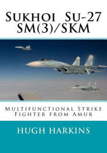 Sukhoi Su-27sm(3)/Skm: Multifunctional Strike Fighter from Amur - 2867144612