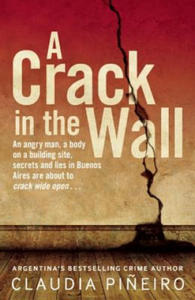 Crack in the Wall - 2878878526