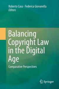 Balancing Copyright Law in the Digital Age - 2871611811